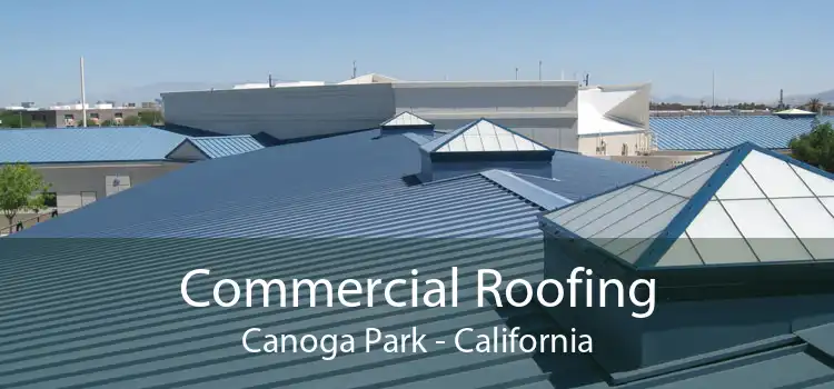 Commercial Roofing Canoga Park - California