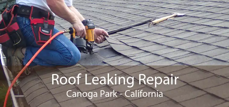 Roof Leaking Repair Canoga Park - California